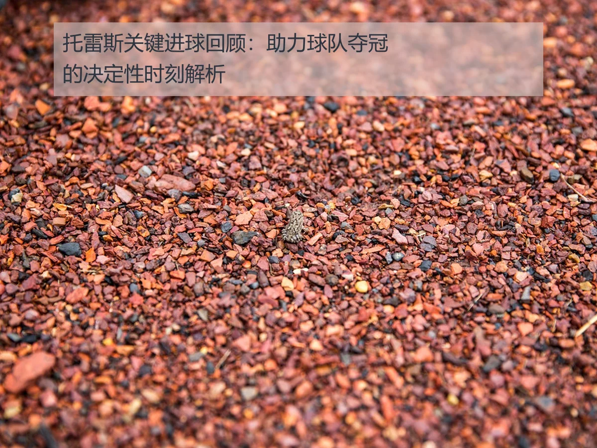 托雷斯关键进球回顾:助力球队夺冠的决定性时刻解析